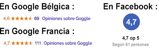 opiniones google y facebook